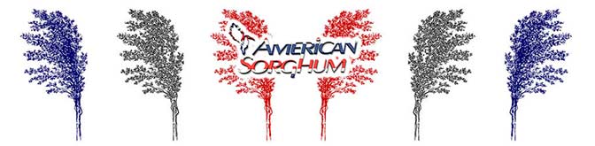 American Sorghum