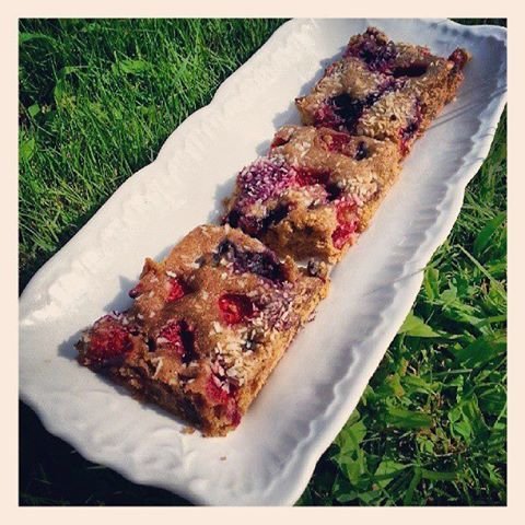 American Sorghum Bars