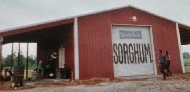 sorghum-and-the-walking-dead