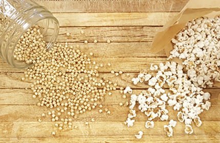 popping potential of sorghum