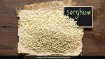 sorghum-jowar-5-ways-diet-protein