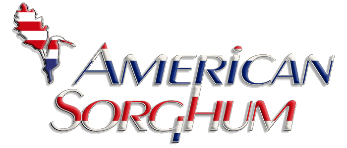 American Sorghum Logo Image 2023